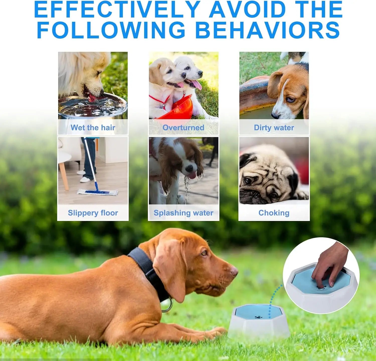 Dog Water Bowl,Splash-Free
