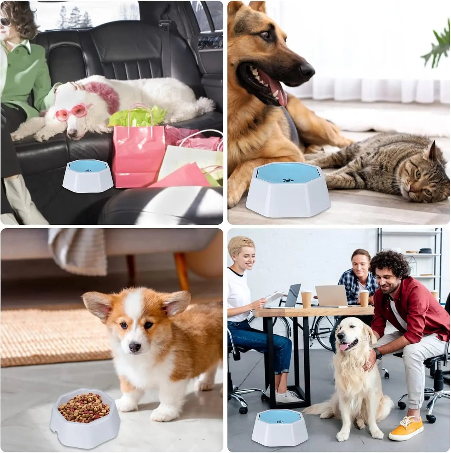 Dog Water Bowl,Splash-Free
