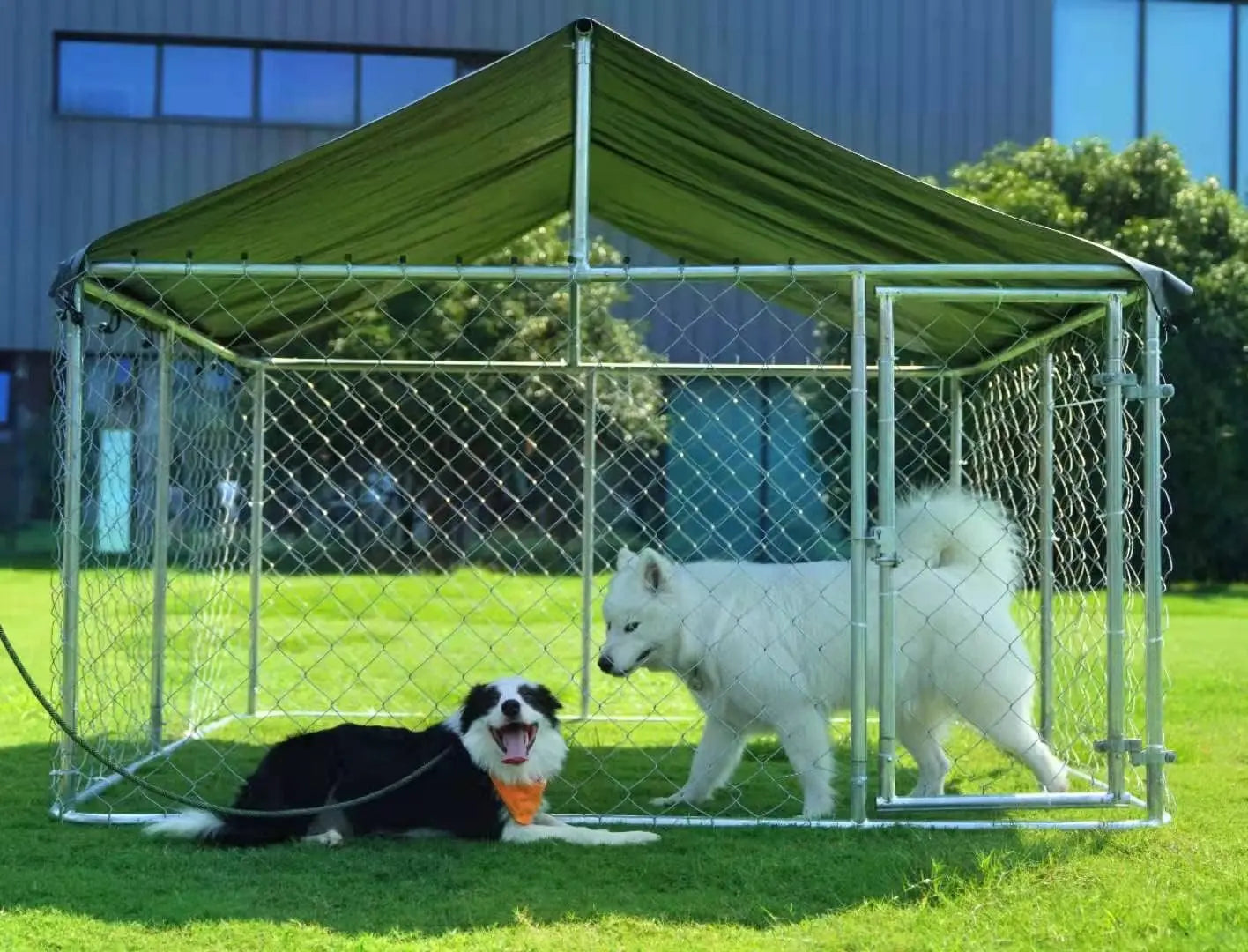 Outdoor Dog Kennel Heavy Duty Cage