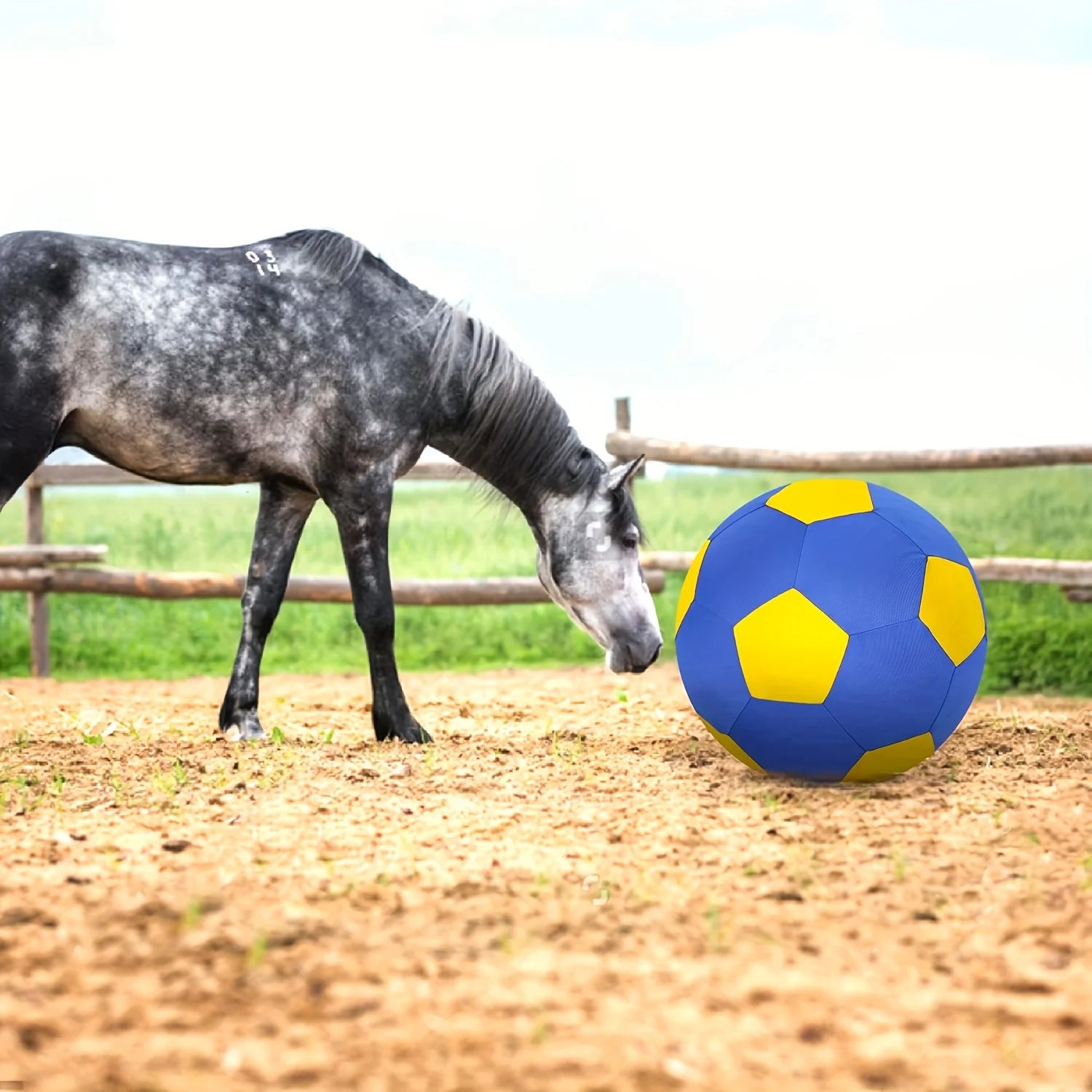 Thickened Giant Grazing Ball with Ball Cover