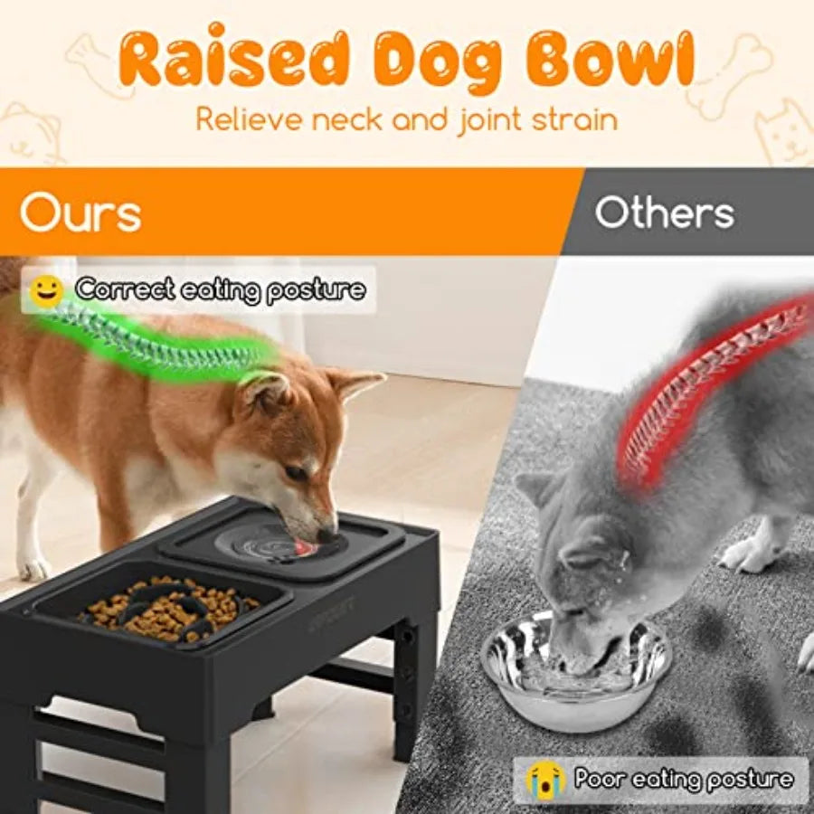 2-in-1 Elevated Dog feeder, 4 Height-Adjustable Raised Dog Bowls