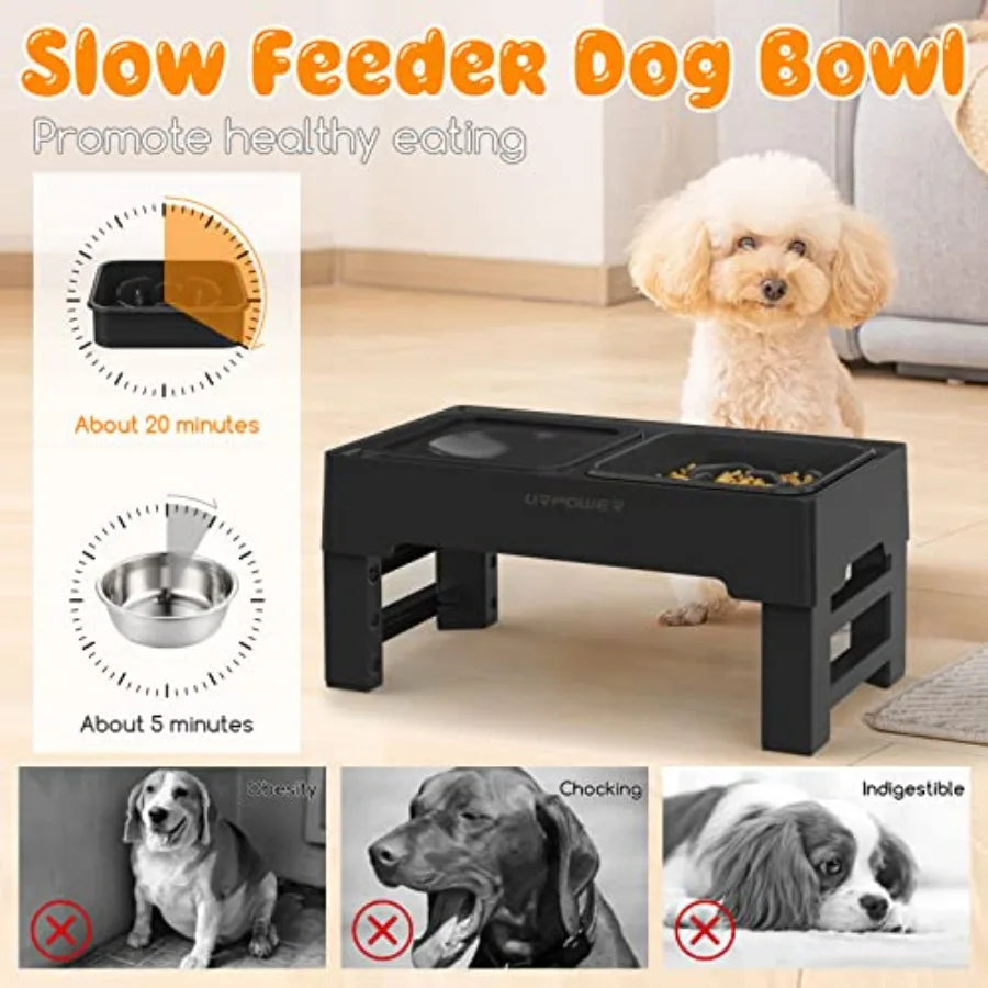 2-in-1 Elevated Dog feeder, 4 Height-Adjustable Raised Dog Bowls