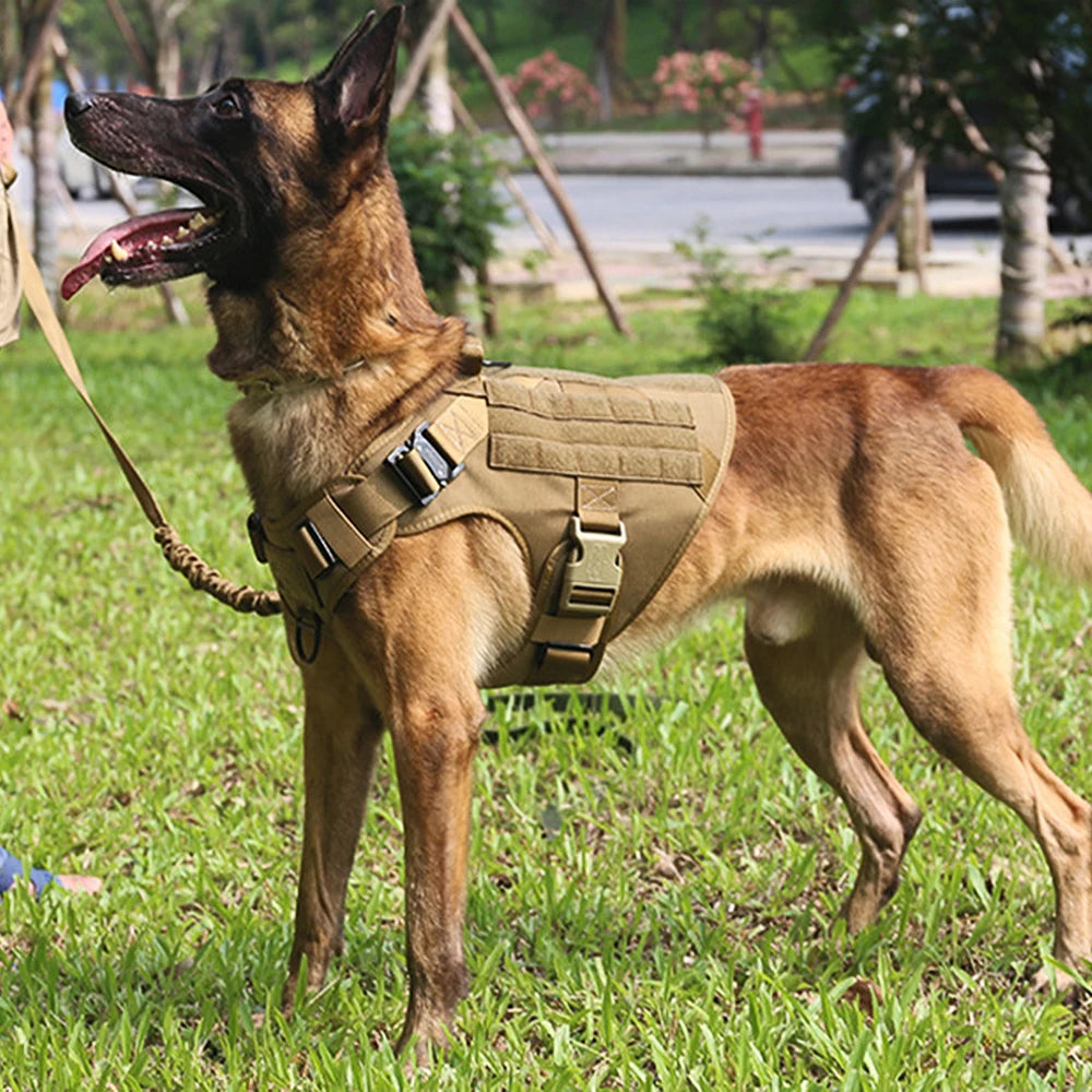 Large Dog Harness And Leash