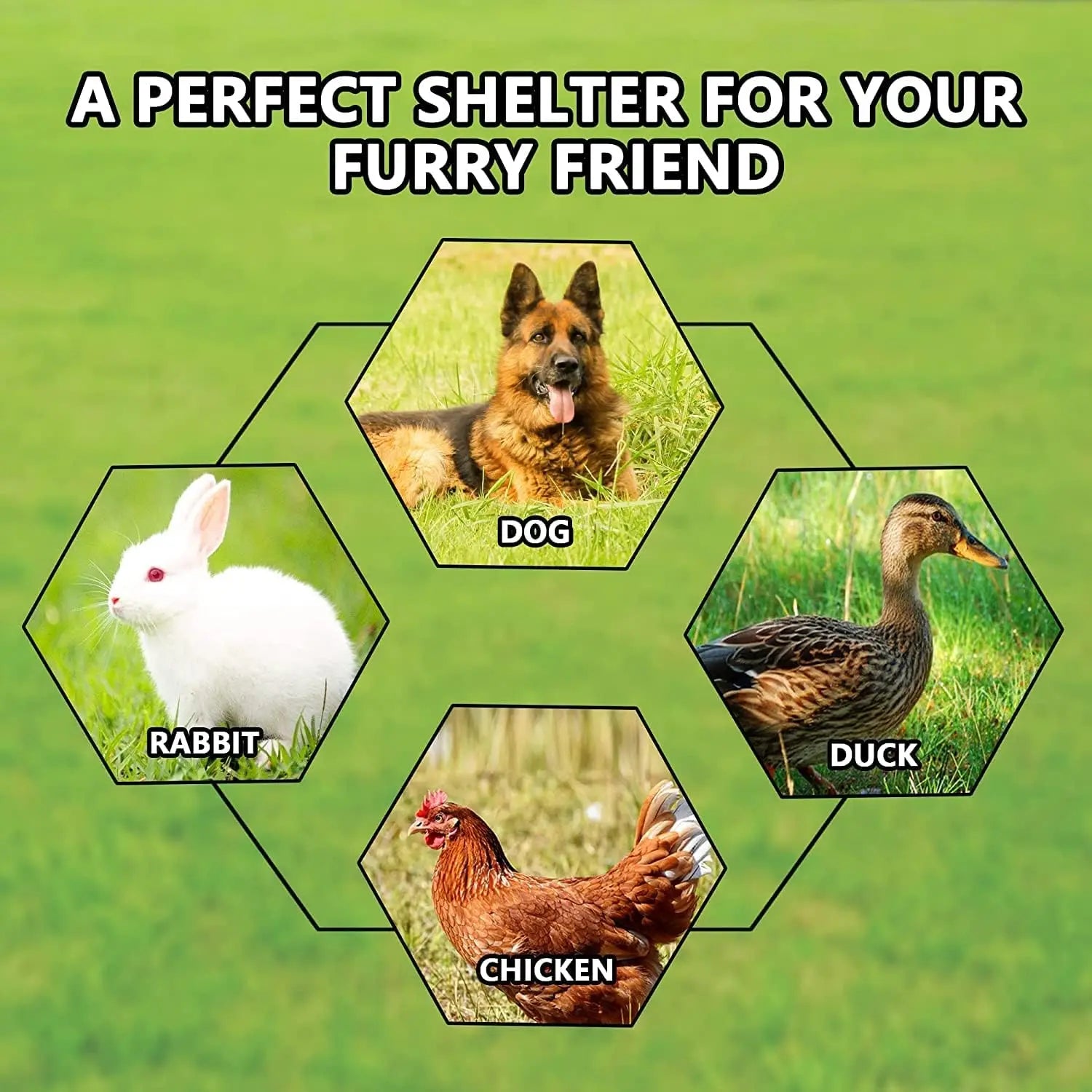 Extra Large Outdoor Dog Kennel