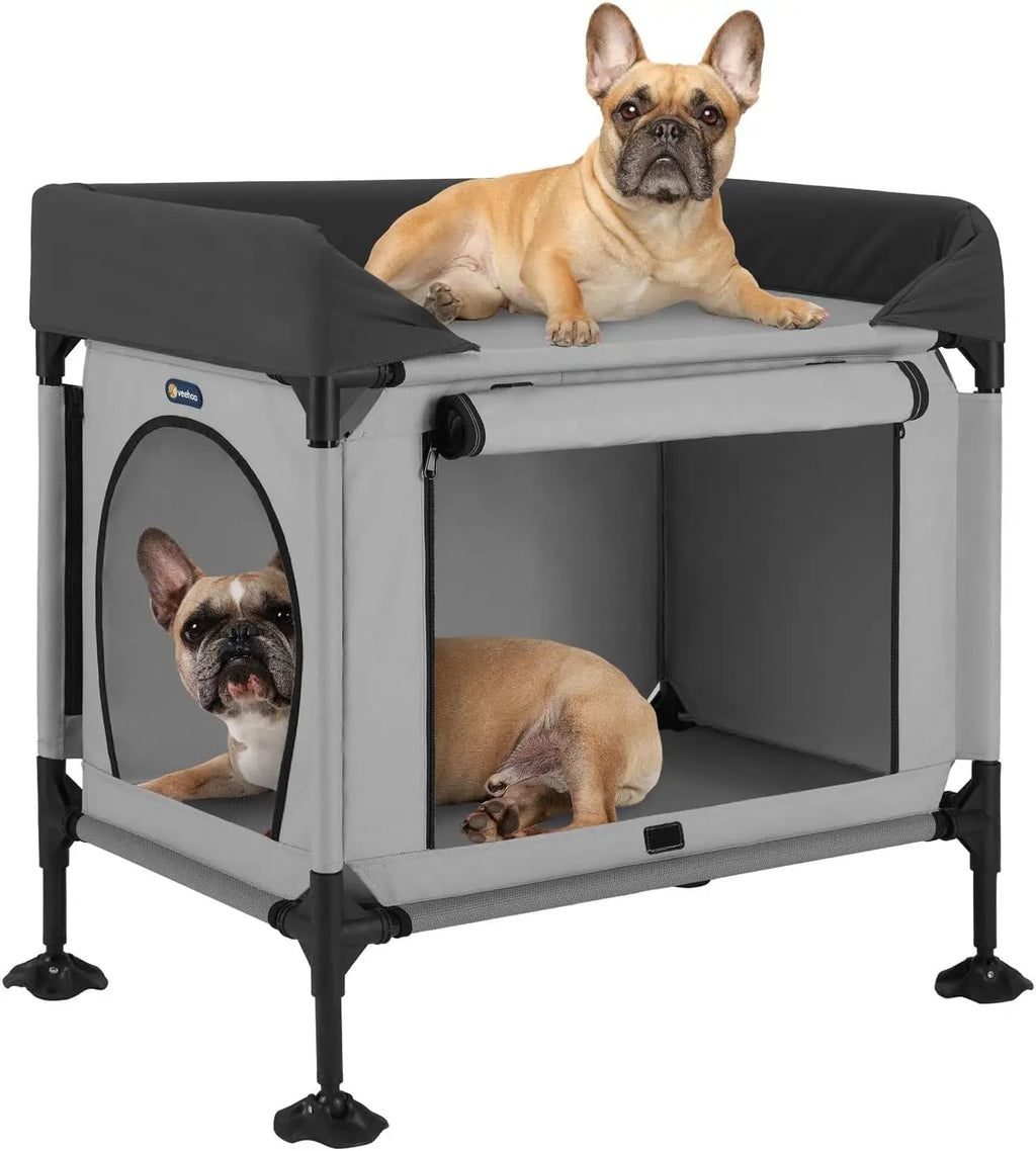 Elevated Pet Bunk Bed for Small to Medium Dogs and Cats