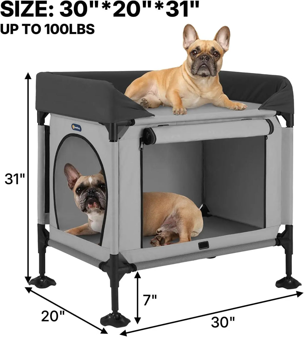 Elevated Pet Bunk Bed for Small to Medium Dogs and Cats